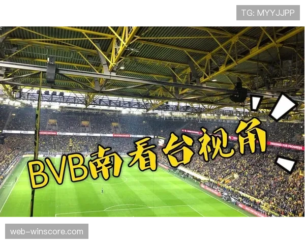 欧足联计划发布站席新规，多特主场南看台需整改
